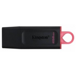 kingston 256GB USB 3.2...